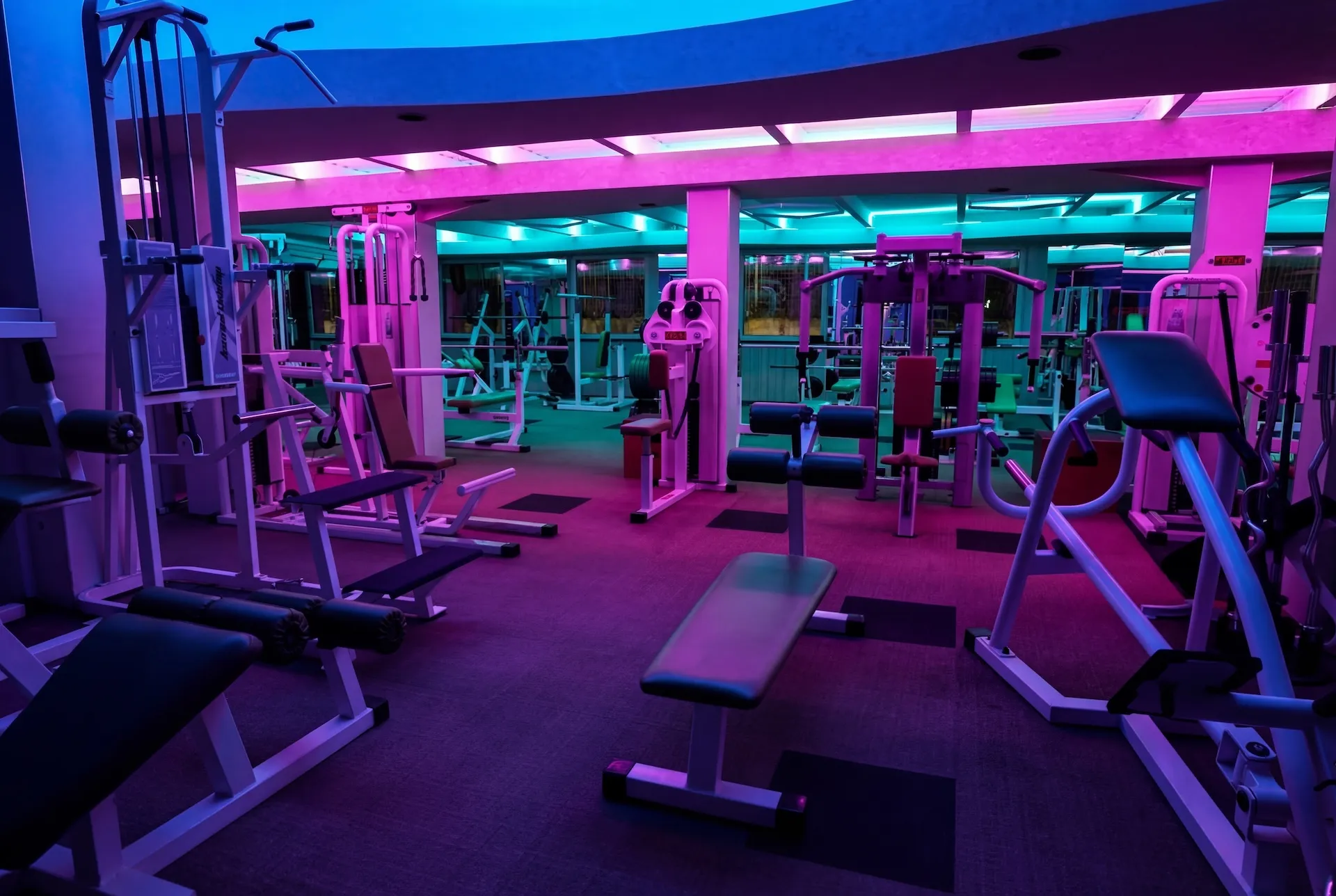 Konditerem neon fényekben